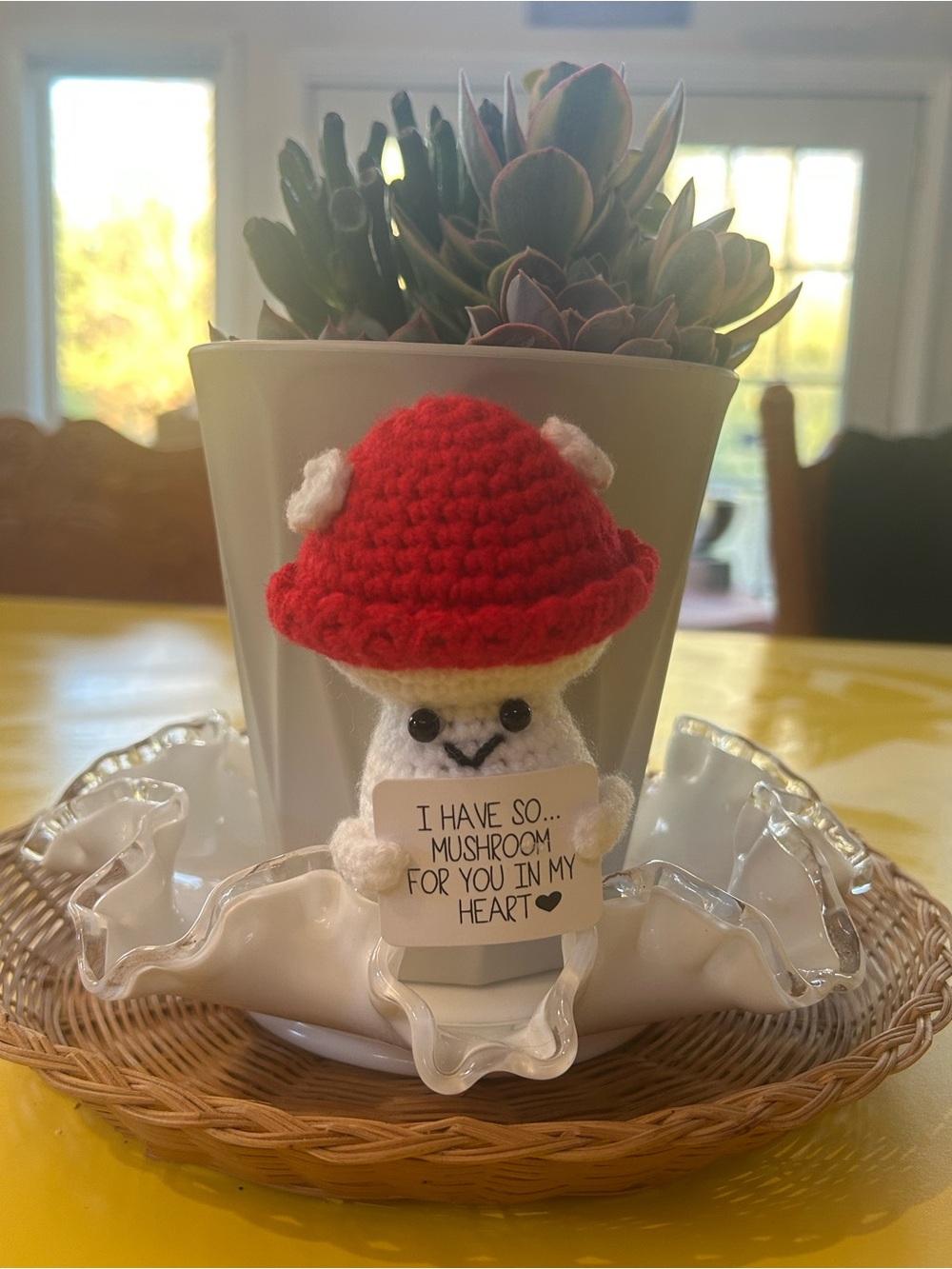 🐕3/2 Handcrafted Emotional Support Crochet Mushroom